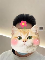 -逸丝风尚