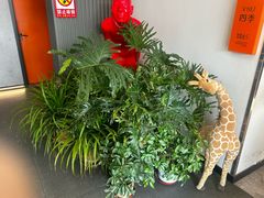 -向外鱼乐·土菜·虹鳟鱼