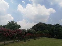 -深圳湾公园(南山区)