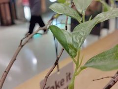 -代数学家algebraist(诚品店)