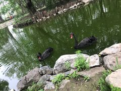 -北京麋鹿生态实验中心
