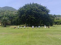 -三亚南山文化旅游区