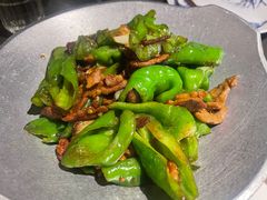 -前海沿·青岛菜(大拇指广场石老人店)