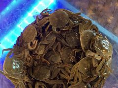 大闸蟹-青岛蓝海御华大饭店（金沙滩店）·蓝钻国际美食自助百汇