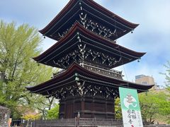 -医王山·飞騨国分寺