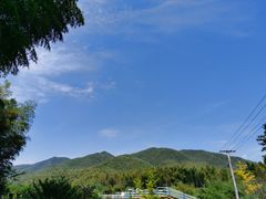 -宁波浙东大竹海景区