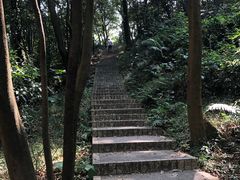 -广州市帽峰山景区