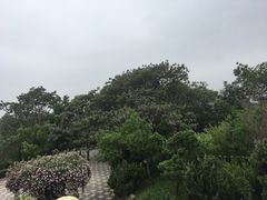 -中国翰园碑林