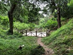 -香山公园