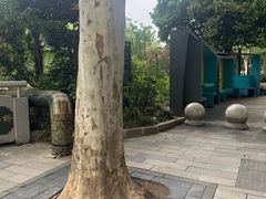 -兰溪青年公园