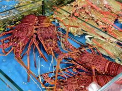 -粤盛海鲜平价店(洛溪食街店)
