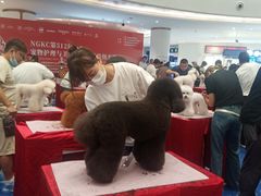 -深圳龙华星河COCO City(民治店)