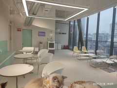 -怪兽屋·羊驼·猫咖·狗咖(俊华广场店)