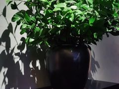 -山里亲戚(淞虹路店)