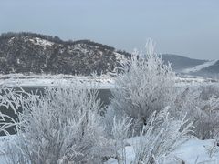 -雾凇岛
