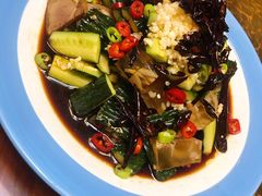 东北自制皮冻肘花拍黄瓜-老江南春·中国龙菜(衡山路店)