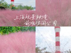 -上海山野camping·户外天幕烧烤·团建拓展营地