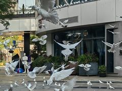-中粮·祥云小镇