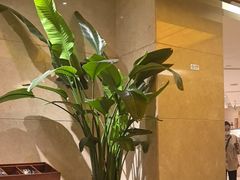 -伯豪瑞廷酒店-天伦阁西餐厅