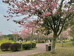 -风云岭森林公园