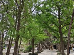 -莲池书院博物馆