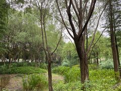 -尚贤河湿地