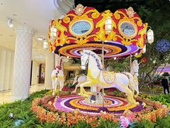 -拉斯维加斯永利酒店