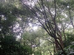 -杭州半山国家森林公园