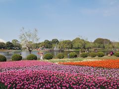 -上海鲜花港