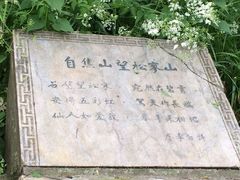 iphone_upload_pic-焦山风景区