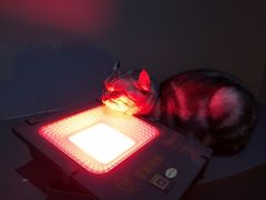 -极木²邸 人与宠物·互动社区