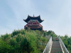 -南大港湿地风景区