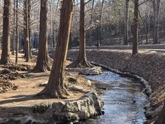 -白水寺森林公园