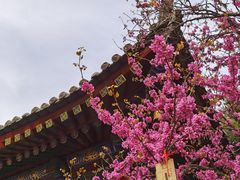 -西安市广仁寺
