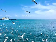 -青海湖仙女湾景区