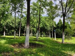 -永定河休闲森林公园