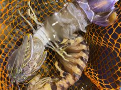 -辉记炭烧海鲜大排档·老字号(福田店)