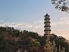 -江心屿景区