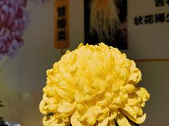 -重庆园博园