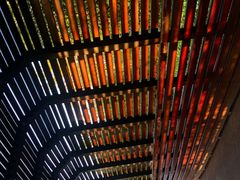 -昆山城市生态森林公园