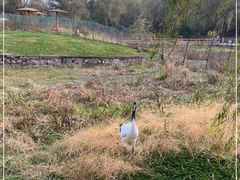 -哈尔滨北方森林动物园