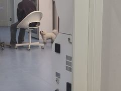 -全心全意动物诊疗中心医院(北苑店)