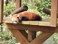 -可伦宾野生动物保护区