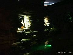 -中铁花水湾四季温泉谷