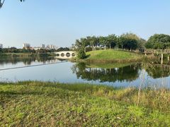 -眉山湿地公园(东坡区)