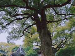 -惠山古镇·寄畅园