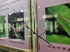 -上海昆虫博物馆