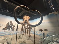 -辽宁古生物博物馆