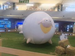 -阳光天地