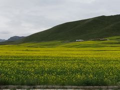 -扁都口生态休闲旅游区